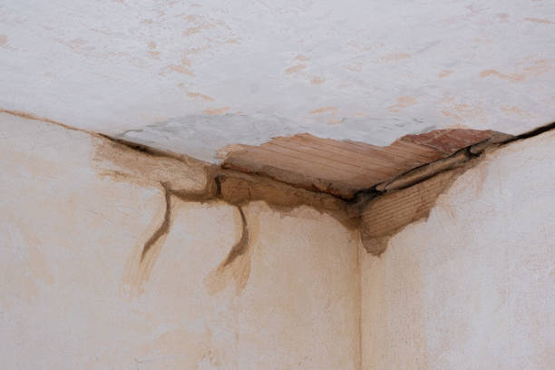Best Sewage cleanup and water damage restoration  in Clyde, TX