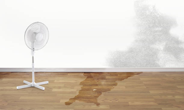 Best Local water damage restoration  in Clyde, TX