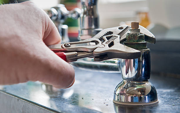 Best Mold removal after water damage  in Clyde, TX