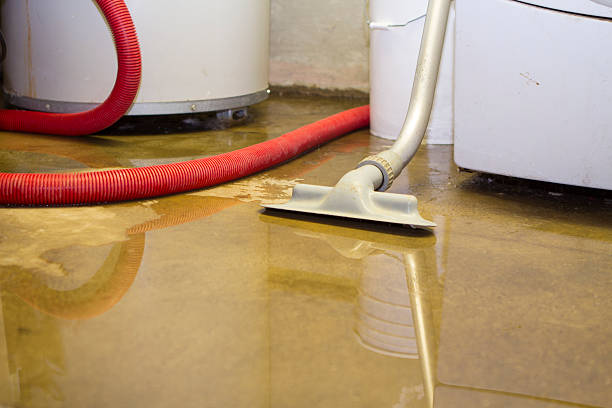 Best Water damage restoration services  in Clyde, TX