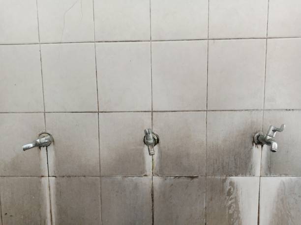 Best Flood damage cleanup  in Clyde, TX